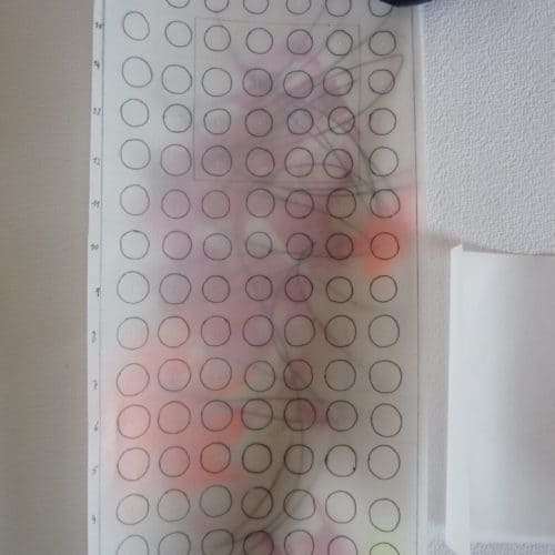 Stevens Competition (14)